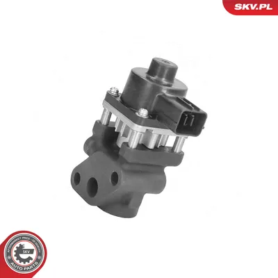Vanne EGR Fiat SEDICI · Suzuki JIMNY Closed Off-Road Vehicle · Suzuki WAGON R+