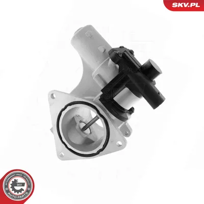Vanne EGR Vw TOUAREG · Vw MULTIVAN T5 · Vw TRANSPORTER T5 Platform/Chassis (7JD, 7JE, 7JL, 7JY, 7JZ, 7F