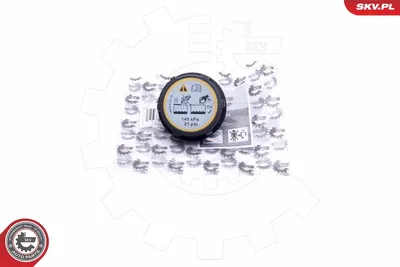 Bouchon, réservoir de liquide de refroidissement Ford FOCUS C-MAX · Ford FOCUS II · Ford FOCUS II Turnier