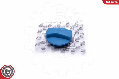 Bouchon, réservoir de liquide de refroidissement Audi A4 B5 · Audi A6 C4 · Audi A6 C5