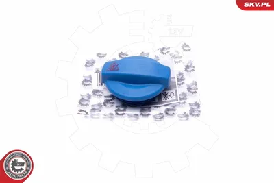 Bouchon, réservoir de liquide de refroidissement Audi 90 B3 · Audi A4 B5 · Audi A6 C4