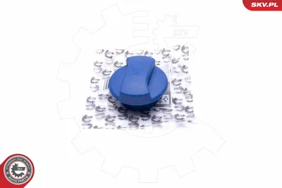 Bouchon, réservoir de liquide de refroidissement Ford GALAXY I · Ford GALAXY MK I VAN · Seat ALHAMBRA