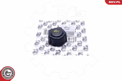 Bouchon, réservoir de liquide de refroidissement Citroën XSARA · Citroën XSARA Break · Citroën C5 I