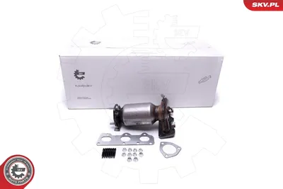 Catalyseur Seat IBIZA III · Vw POLO IV