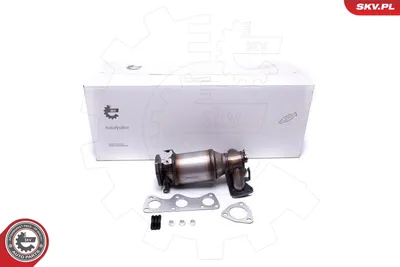 Catalyseur Seat IBIZA III · Skoda FABIA I · Skoda FABIA I Combi