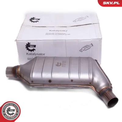Catalyseur, universal ESEN SKV 62SKV040