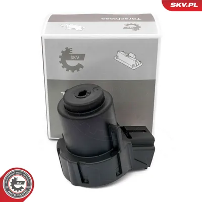 Interrupteur d'allumage/de démarreur Seat IBIZA IV · Seat IBIZA IV SC · Seat IBIZA IV ST