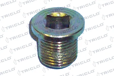Vis-bouchon, carter d'huile Renault ESPACE I · Renault 12 · Renault 18