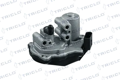 Element d'ajustage, soupapes de turburlence (tuyau d'admis° Audi A3 · Audi A6 C6 · Audi A3 Sportback