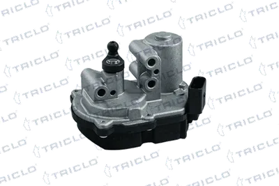 Element d'ajustage, soupapes de turburlence (tuyau d'admis° Audi A8 D3 · Audi A6 C6 · Audi A4 B7