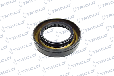 Retenez pour essieux, différentiel TRICLO 671917