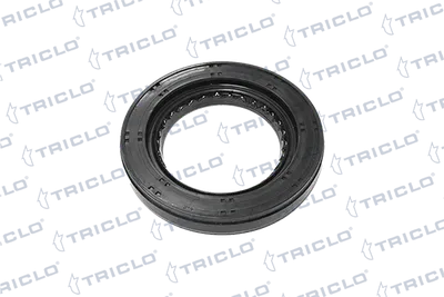 Retenez pour essieux, transmission automatique TRICLO 672899