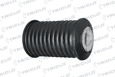 Suspension, ressort à lames Nissan INTERSTAR Bus · Nissan INTERSTAR Van · Nissan INTERSTAR Platform/Chassis