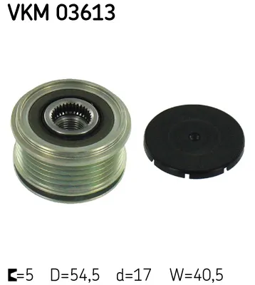 Poulie roue libre, alternateur Nissan KUBISTAR Van · Renault KANGOO · Renault CLIO II