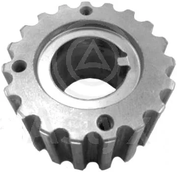 Roue dentée, vilebrequin Nissan KUBISTAR Van · Renault LAGUNA I · Renault LAGUNA I Grandtour