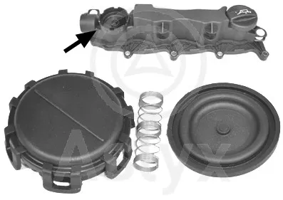 Couvercle de culasse Citroën BERLINGO / BERLINGO FIRST Box Body/MPV · Citroën BERLINGO / BERLINGO FIRST MPV · Citroën XSARA PICASSO