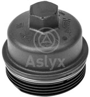 Couvercle, boîtier du filtre à huile Opel INSIGNIA A Sports Tourer · Opel ASTRA J · Opel MERIVA B MPV
