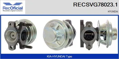Vanne EGR Hyundai TERRACAN