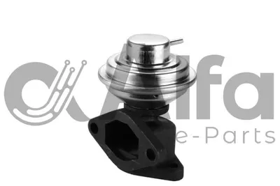 Vanne EGR, commande des gaz d'échappement Renault LAGUNA I · Renault LAGUNA I Grandtour