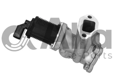 Vanne EGR, commande des gaz d'échappement Fiat PANDA · Fiat IDEA · Fiat 500