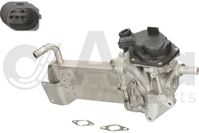 Module-EGR Vw AMAROK · Vw AMAROK Platform/Chassis
