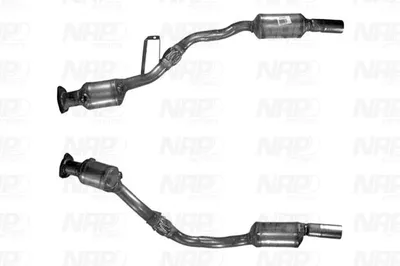 Catalyseur NAP CarPARTS CAK10037