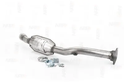 Catalyseur NAP CarPARTS CAK10138