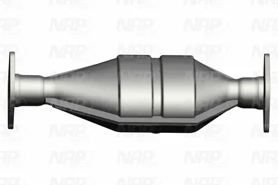 Catalyseur NAP carPARTS CAK10370