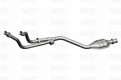 Catalyseur NAP CarPARTS CAK10461