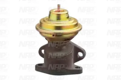 Vanne EGR NAP Carparts CAV10010