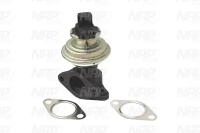 Vanne EGR NAP CarPARTS CAV10011