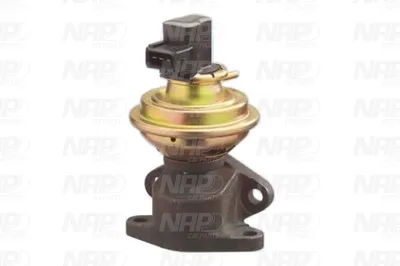 Vanne EGR NAP Carparts CAV10012