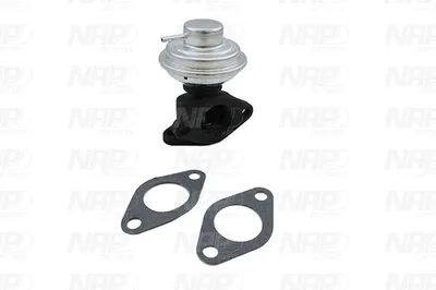 Vanne EGR NAP CarPARTS CAV10013