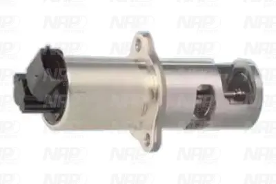 Vanne EGR NAP Carparts CAV10019