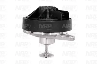Vanne EGR NAP Carparts CAV10021