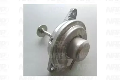 Vanne EGR NAP CarPARTS CAV10022
