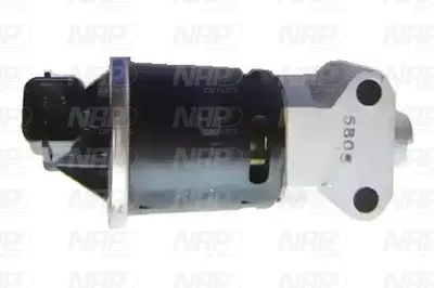 Vanne EGR NAP CarPARTS CAV10025