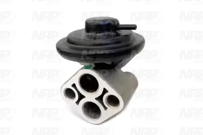 Vanne EGR NAP Carparts CAV10028