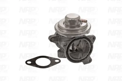 Vanne EGR NAP CarPARTS CAV10038