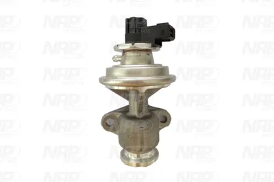Vanne EGR NAP Carparts CAV10057