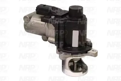 Vanne EGR NAP CarPARTS CAV10073