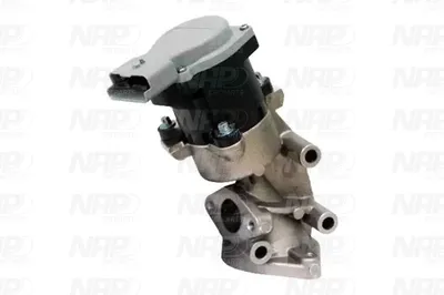 Vanne EGR NAP CarPARTS CAV10074