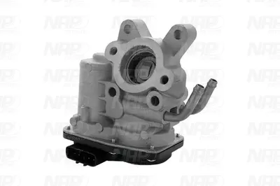 Vanne EGR NAP CarPARTS CAV10079