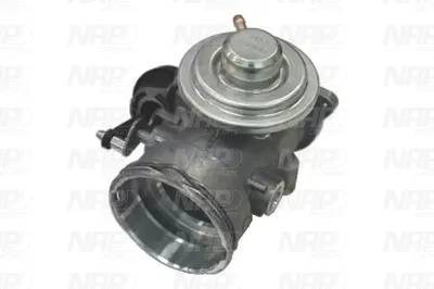 Vanne EGR NAP CarPARTS CAV10083