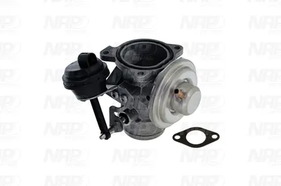 Vanne EGR NAP CarPARTS CAV10088