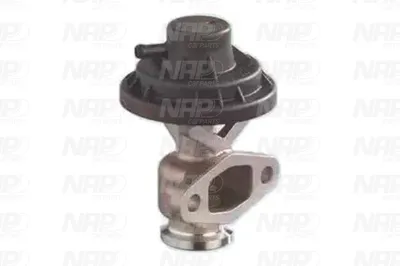 Vanne EGR NAP CarPARTS CAV10090
