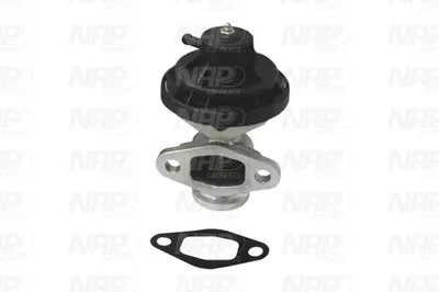 Vanne EGR NAP CarPARTS CAV10091