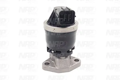Vanne EGR NAP Carparts CAV10105