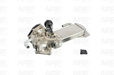 Vanne EGR NAP Carparts CAV10114