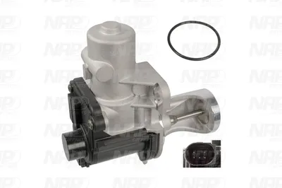 Vanne EGR NAP CarPARTS CAV10127
